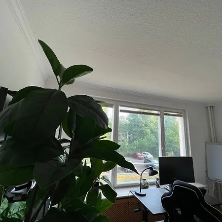 Cozy In Spandau Rauchstr With Garden View ברלין