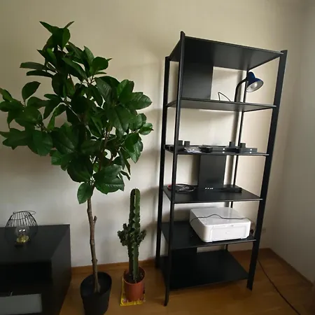 Appartement Cozy In Spandau Rauchstr With Garden View *