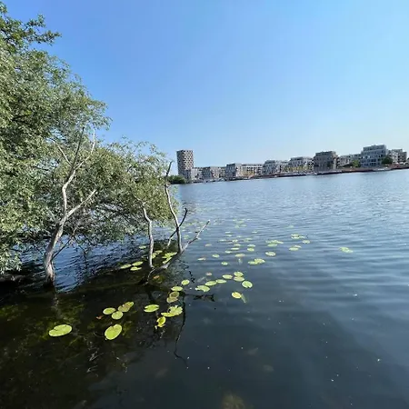 شقة Cozy In Spandau Rauchstr With Garden View برلين