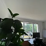 Cozy In Spandau Rauchstr With Garden View Berlin